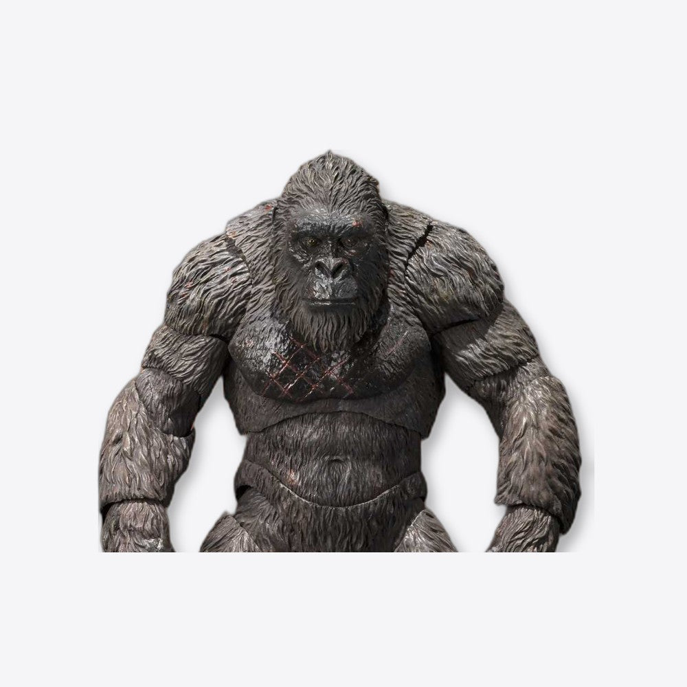 Figura tamashii nations sh figuarts cine kong from godzilla vs kong eece monster arts exclusiva 2022 (imagen 3 de 6)