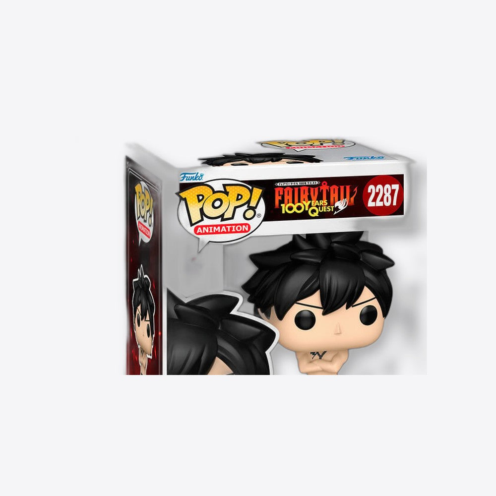 Funko Figura POP Fairy Tail 100 Years Quest Gray Chase (imagen 4 de 6)