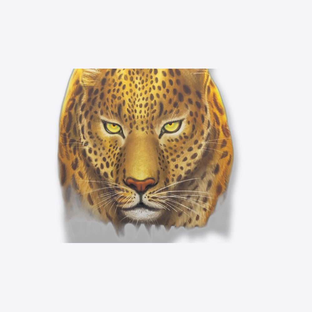 Asmodee Juego de mesa vida salvaje: serengeti pegi 14 (imagen 5 de 6)