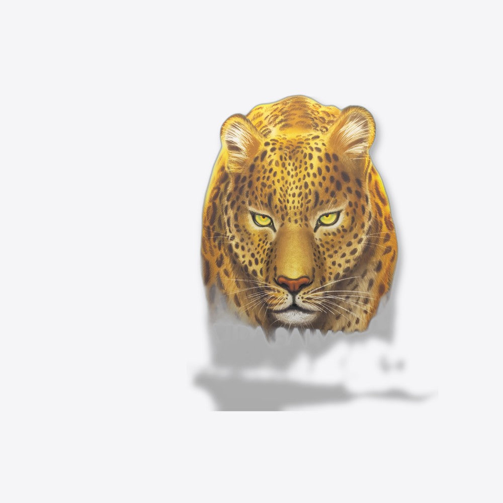 Asmodee Juego de mesa vida salvaje: serengeti pegi 14 (imagen 4 de 6)