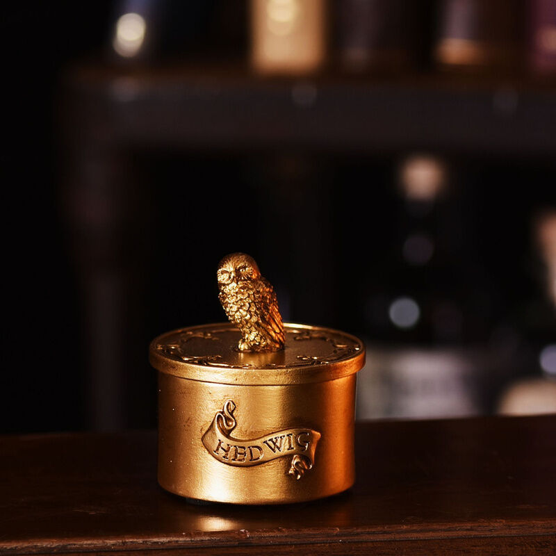 Joyero Hedwig Harry Potter - Joyeros | Widdop & Co