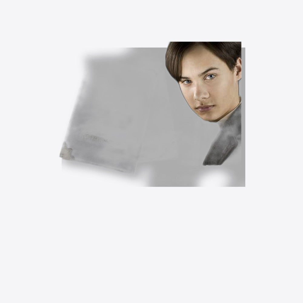 Replica the noble collection harry potter diario de tom riddle  pulgadasvoldemort pulgadas (imagen 6 de 6)