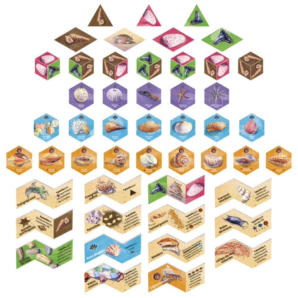 Hasbro Juego de Mesa Sanibel (imagen 6 de 9)