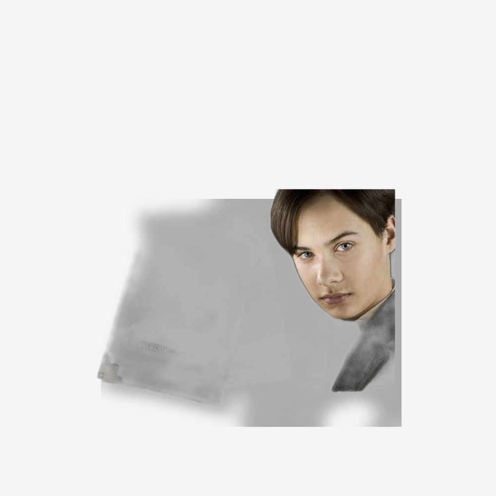 Replica the noble collection harry potter diario de tom riddle  pulgadasvoldemort pulgadas (imagen 4 de 6)