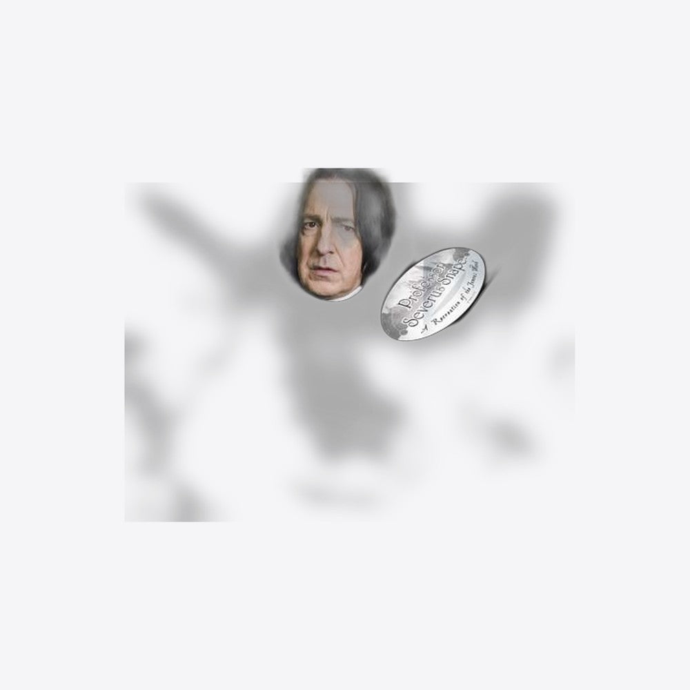 Replica the noble collection harry potter severus snape varita con caja y placa de identificacion (imagen 2 de 6)