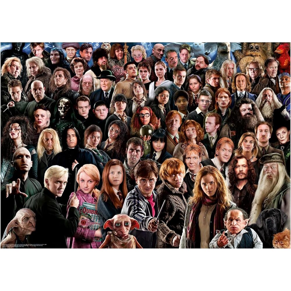Harry Potter Puzzle Hogwarts 1000pzs