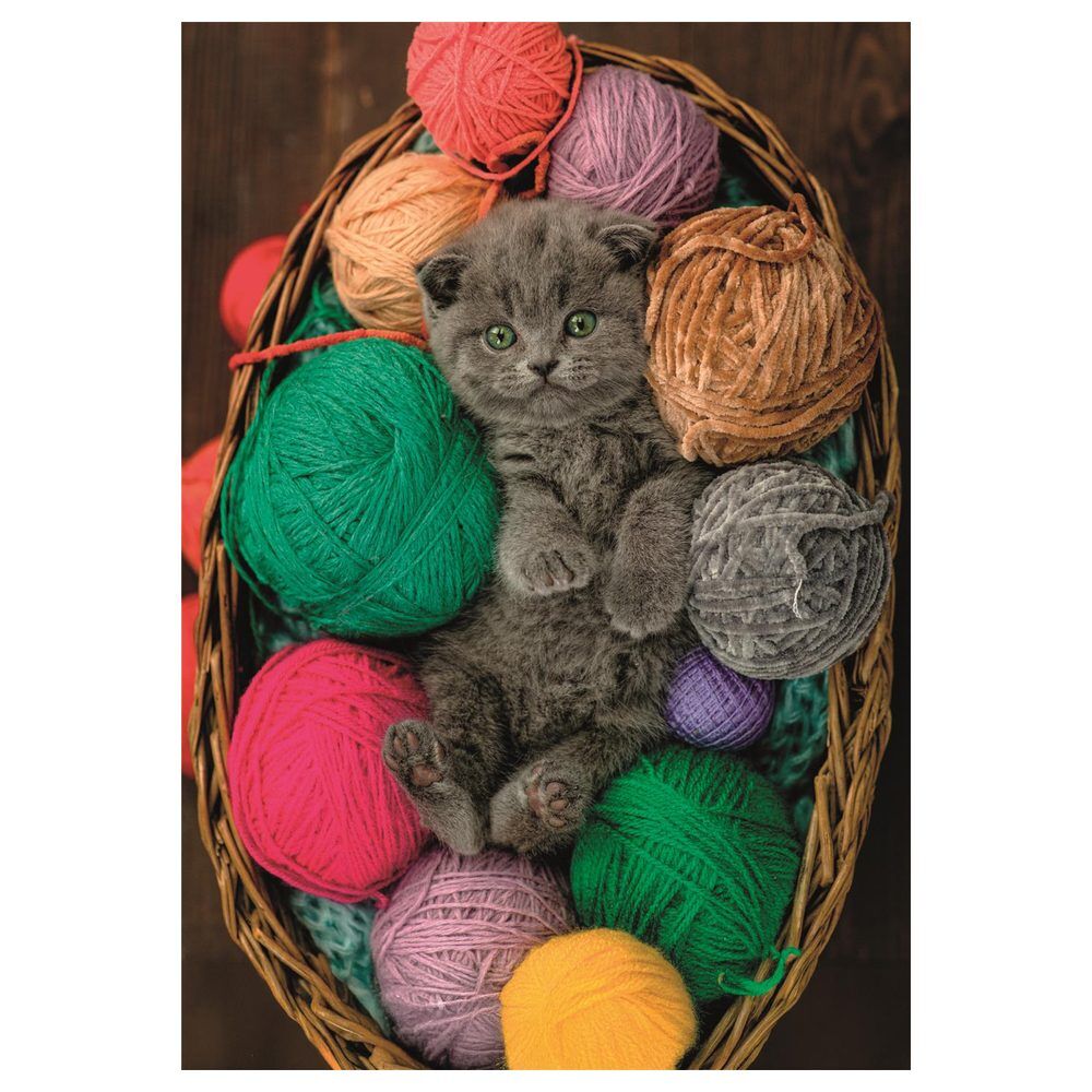 [Animales] Puzzle Fluffy Kitten 500 Piezas