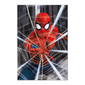Marvel Poster Spiderman Telaraña Erik Oficial
