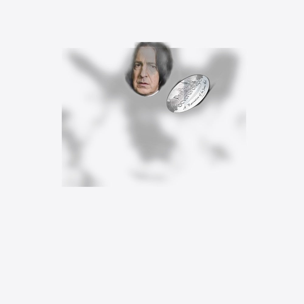 Replica the noble collection harry potter severus snape varita con caja y placa de identificacion (imagen 6 de 6)