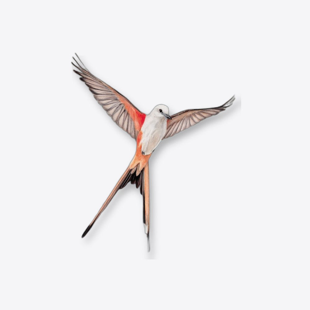 Devir Juego de mesa wingspan (imagen 2 de 6)