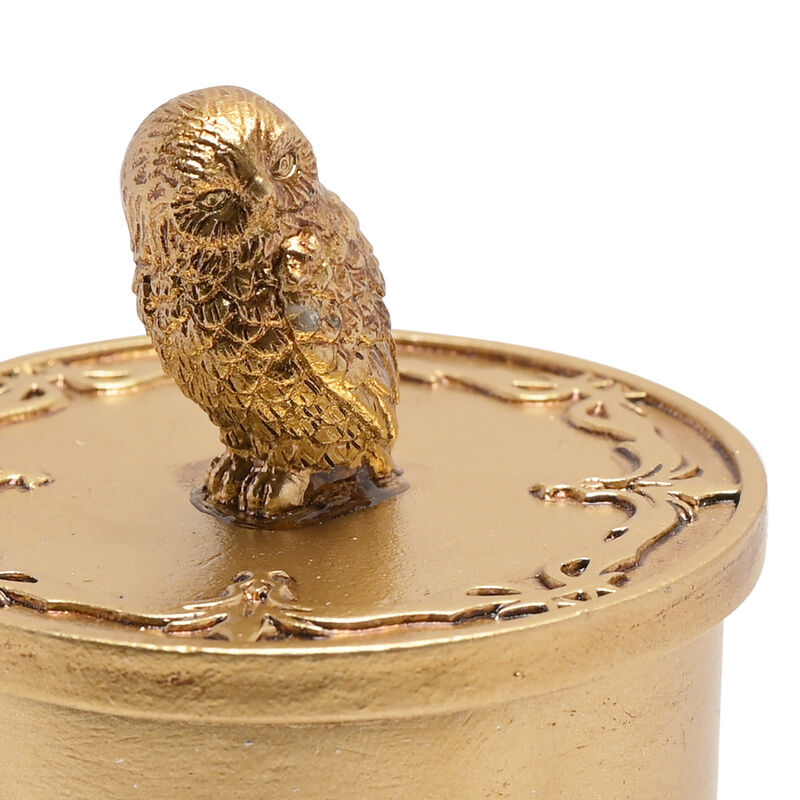 Joyero Hedwig Harry Potter - Joyeros | Widdop & Co