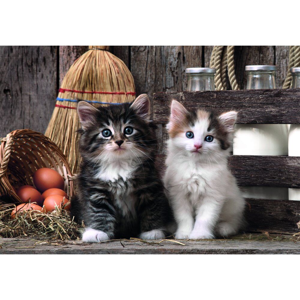 Puzzle Gatos Adorables 1000 Piezas High Quality Mascotas