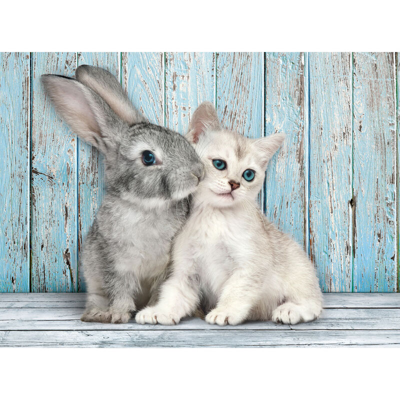 Puzzle Gato y Conejo Amigos del Bosque 500 Piezas