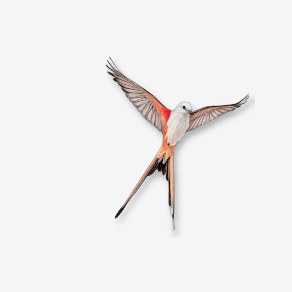 Devir Juego de mesa wingspan (imagen 4 de 6)